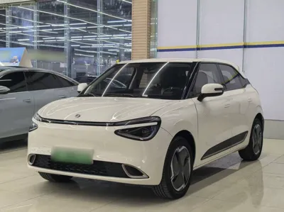 Dongfeng Nammi 01