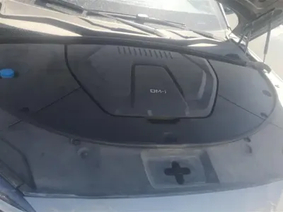 BYD PLUS New Energy