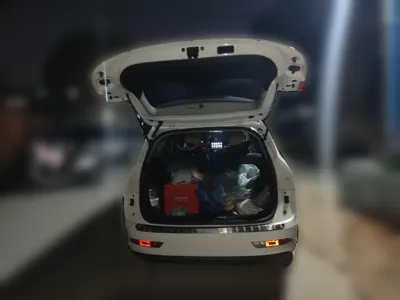 Baojun 310W