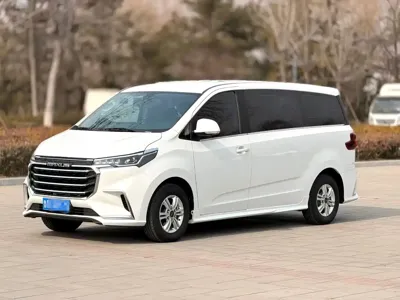 大通 G20
