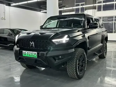 Mengshi Mengshi 917