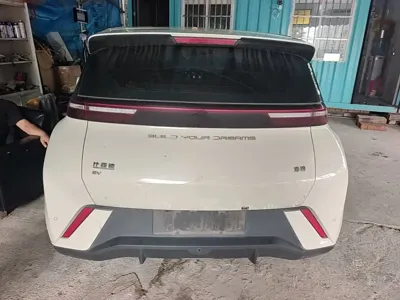 BYD Seagull