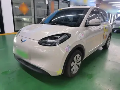 Wuling Bingo