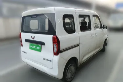 Wuling Zhiguang New Energy