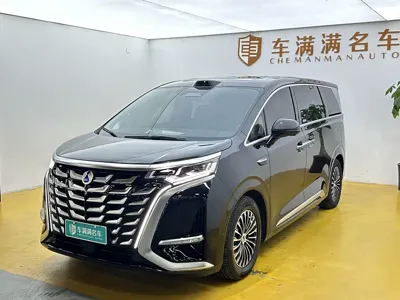Denza Denza D9