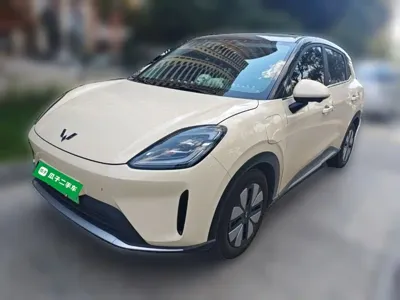 Wuling 缤果S