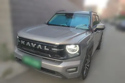 Haval H Dog