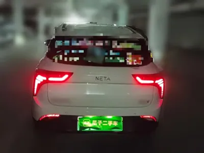NETA Neta V