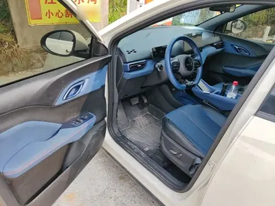 BYD Seagull