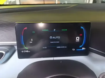 BYD Seagull