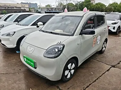 Wuling MINIEV