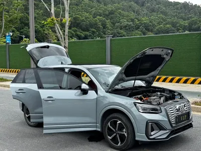 Audi Q2L e-tron