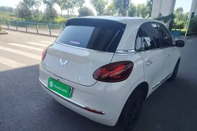 Wuling Bingo