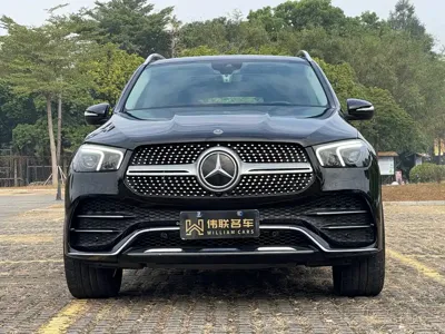 Mercedes-Benz 奔驰GLE(进口)