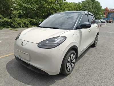 Wuling Bingo