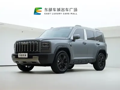 Haval 哈弗猛龙燃油