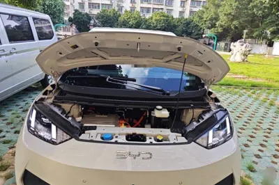 BYD Seagull