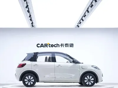 Wuling Bingo