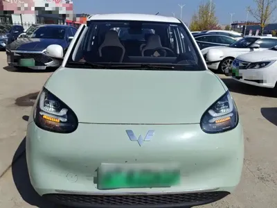 Wuling Bingo