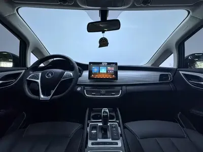 BYD MAX New Energy