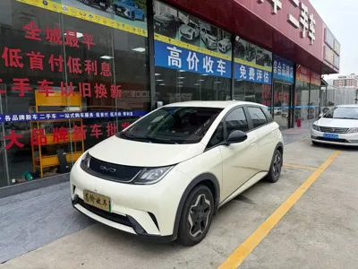 BYD Dolphin