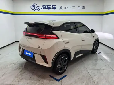 BYD Seagull