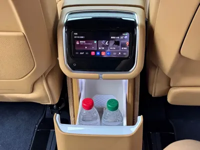 Zeekr 极氪9X