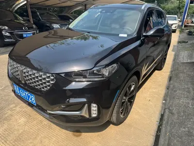 WEY Wey VV6