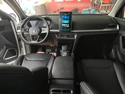 BYD Pro