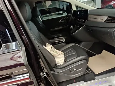 Hongqi Hongqi HQ9 PHEV