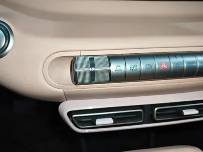 BYD Seagull