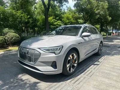 Audi e-tron (Import)
