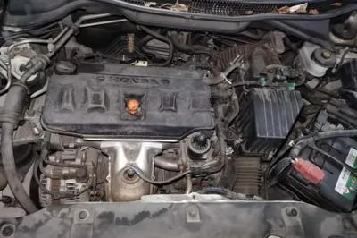 Honda Crider
