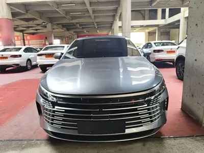 BYD Destroyer 05