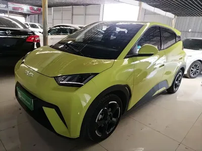 BYD Seagull