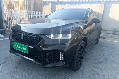 WEY VV7