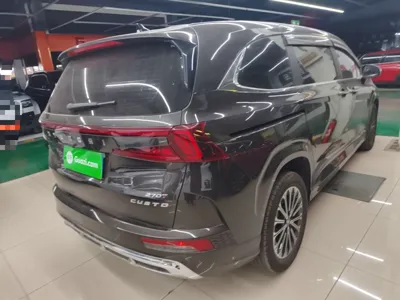 Hyundai Custo