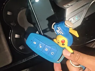 BYD Pro New Energy