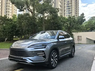 BYD PLUS New Energy