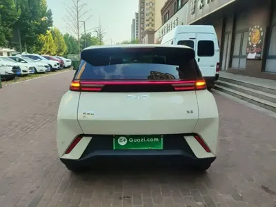 BYD Seagull