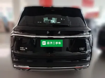 Hongqi Hongqi HS7 PHEV