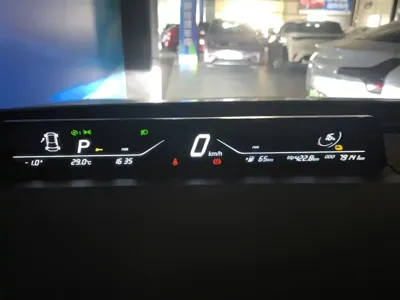 NETA Neta V