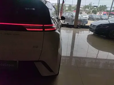 BYD Seagull