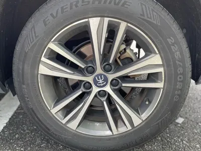 BYD Pro