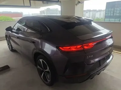 BYD L EV
