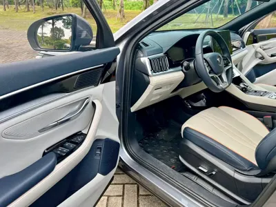 BYD PLUS New Energy