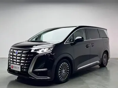 Denza Denza D9
