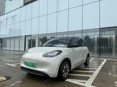 Wuling Bingo