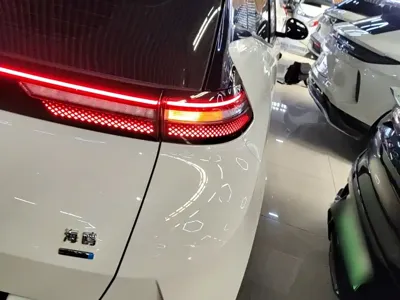 BYD Seagull