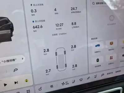 Li Auto Li L7